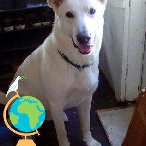 Meet your Posher, Florence